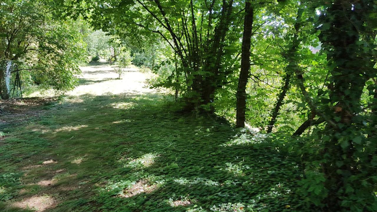 Gite Santenay Les Bains Saint-Sernin-du-Plain 外观 照片